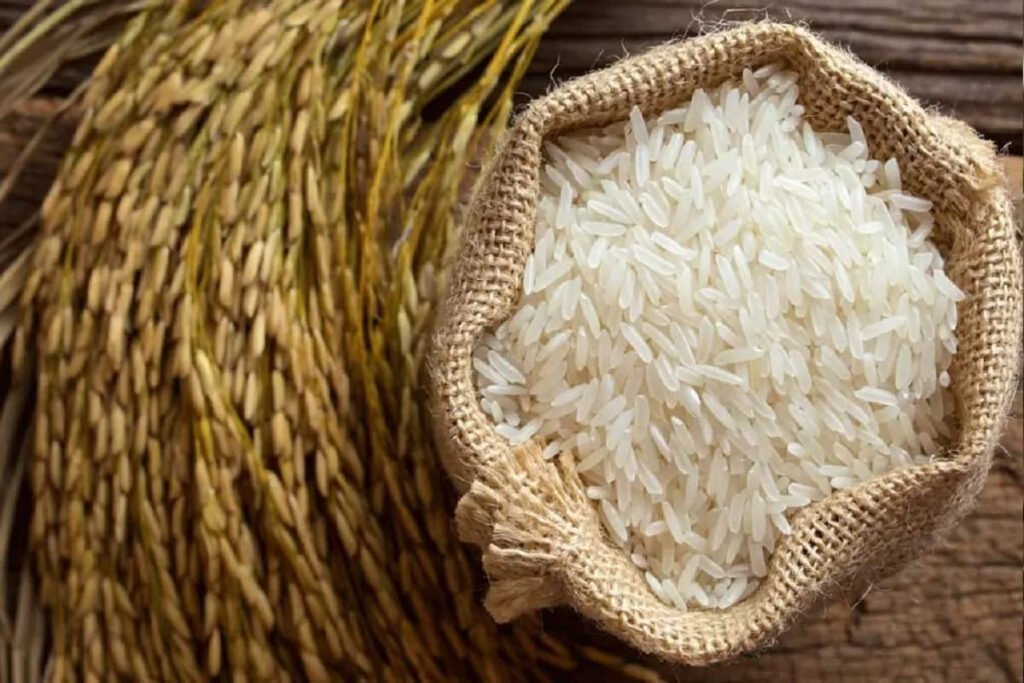 تصدير الأرز