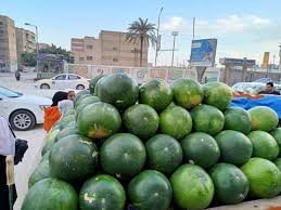اسعار البطيخ