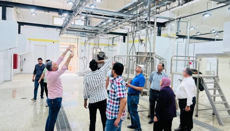 التنمية المحلية