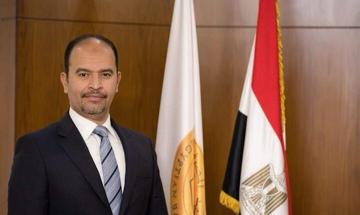 الدكتور عبد العزيز نصير، المدير التنفيذي للمعهد المصرفي المصري