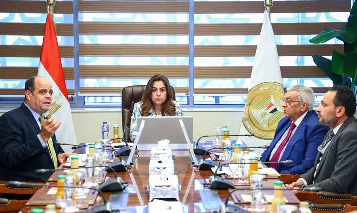 الدكتورة منال عوض، وزيرة التنمية المحلية