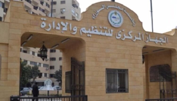 التنظيم والإدارة