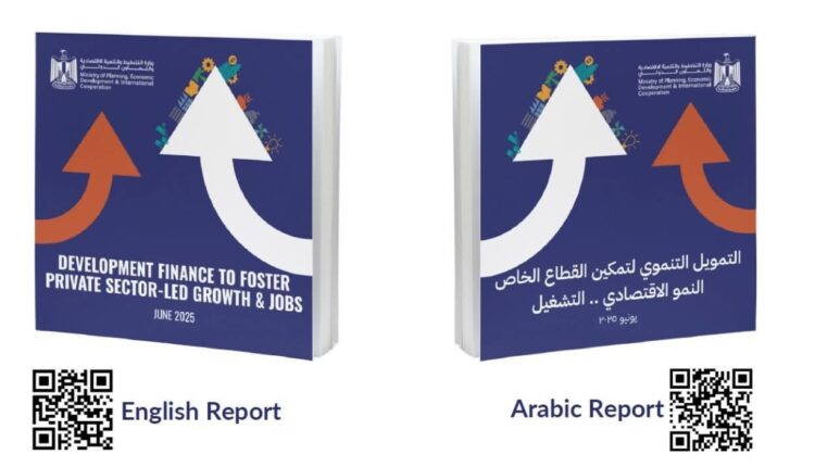 القطاع الخاص