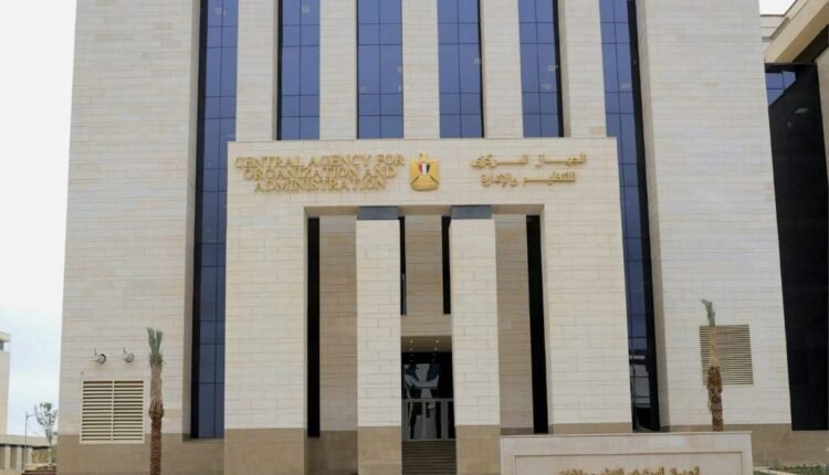التنظيم والإدارة