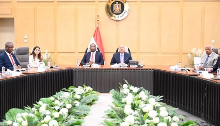 وزير الصناعة والنقل كامل الوزير