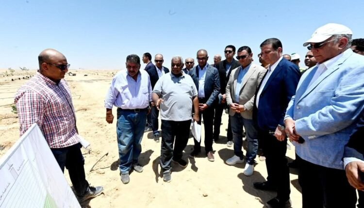 العلمين الجديدة