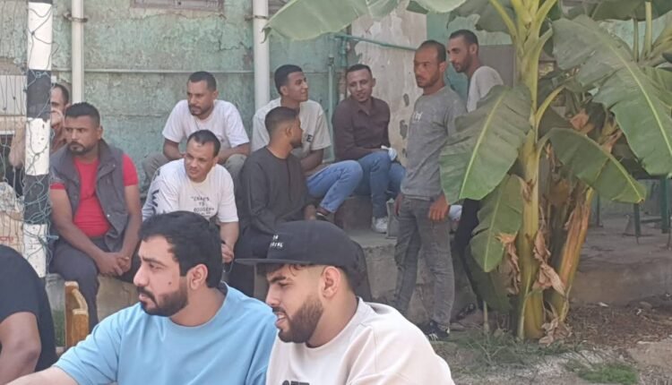 فرص عمل