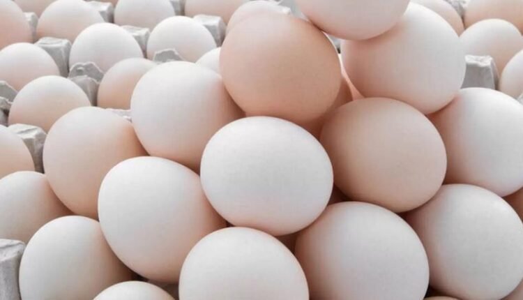أسعار البيض
