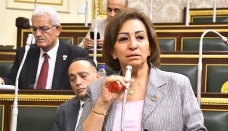 النائبة مها عبد الناصر