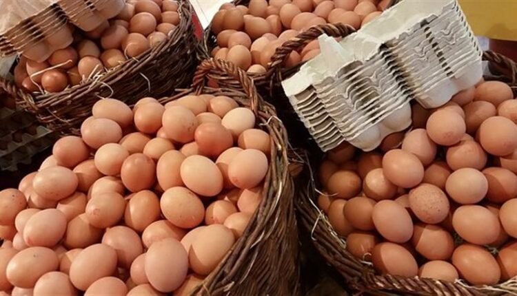 أسعار البيض
