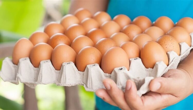 أسعار البيض ،القرار المصرى