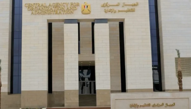 التنظيم والادارة