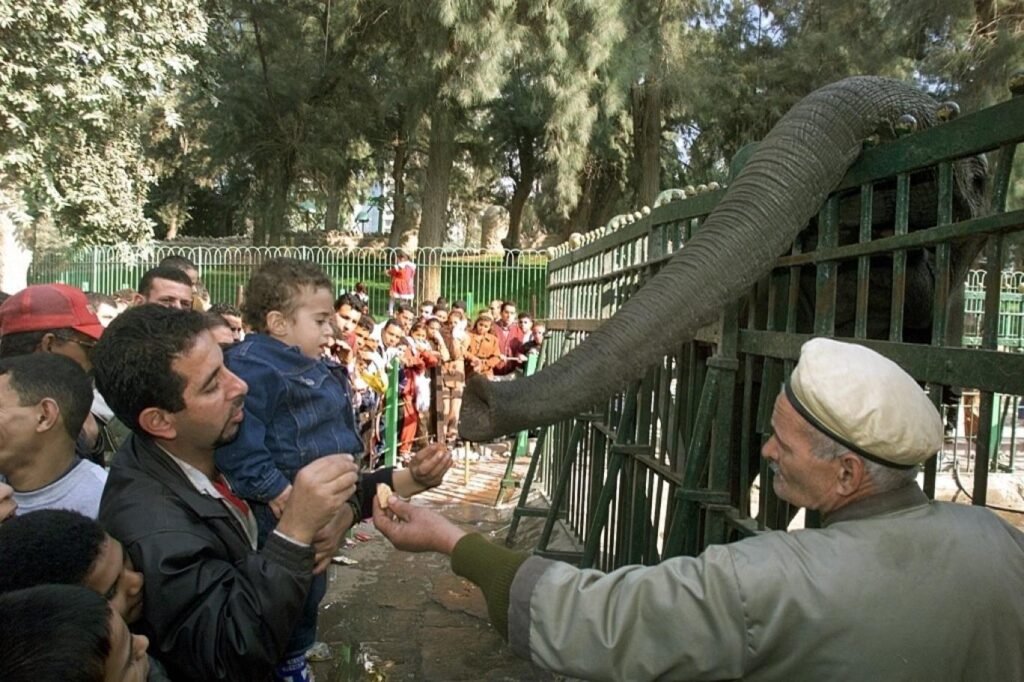 حديقة الحيوان