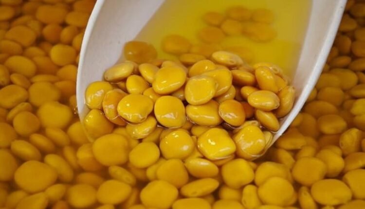 الترمس