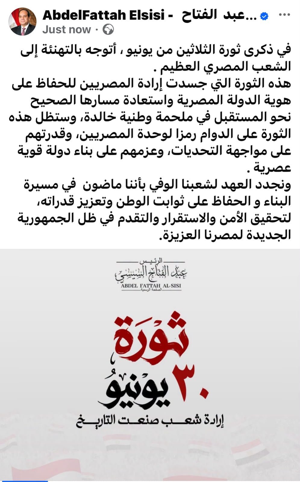 ذكرى 30 يونيو