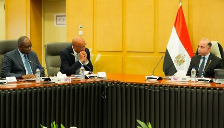 وزير الاستثمار، القرار المصري