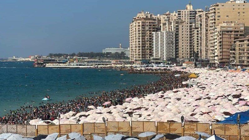 محافظة الاسكندرية