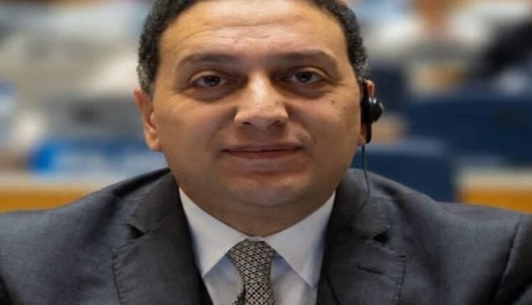 محمد عادل المتحدث باسم مجلس الوزراء المصري